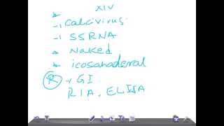 Medical Video Lecture Norwalk Virus and its infection MICROBIOLOGY [upl. by Schiro264]