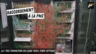 Le raccordement au PMZ  COMMENT EVITER LES PLATS DE NOUILLES [upl. by Ymmaj]