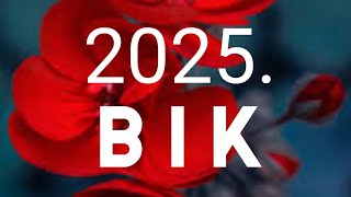 BIK VELIKI GODIŠNJI HOROSKOP 2025 🧡 ZNAK I PODZNAK [upl. by Aivatnohs]