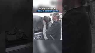 Cop saves dog from a burning car shorts cops [upl. by Agler393]