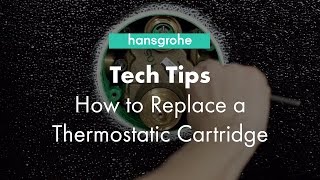 Hansgrohe Tech Tips How to Clean Thermostatic Cartridge [upl. by Ynattyrb]