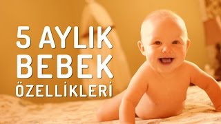 5 Aylık Bebek Özellikleri Nelerdir ● wwwbebektv [upl. by Lewendal389]