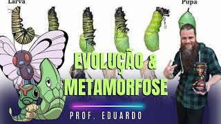 Evolução amp Metamorfose [upl. by Pearlman342]