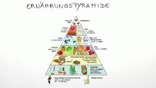 Die Ernährungspyramide  Biologie  Humanbiologie [upl. by Edan]