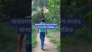 অবহেলায় জন্ম নেয়া তৃণলতাও মানুষের কল্যাণ্যে নিয়োজিত। [upl. by Lehman377]