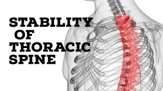 stability of thoracic spine [upl. by Bertram]