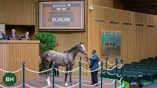 Whisper Hill Farm Secures 22M Gun Runner Colt on Day 1 of Keeneland September [upl. by Odnomra148]