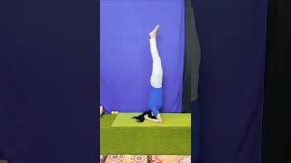 headstand bakasana shortsvideo [upl. by Anitsua294]