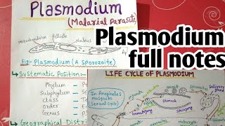 plasmodium vivax life cycle full notes  1 [upl. by Drawe]