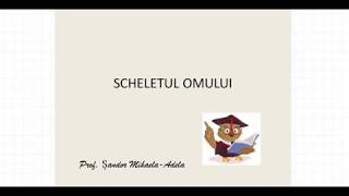 SCHELETUL OMULUI [upl. by Letsirk265]