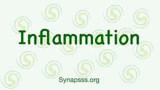 Inflammatory Response Inflammation Pathology  Signs Steps and Pathogenesis Acute and chronic [upl. by Duggan]