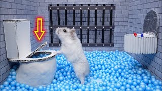 Hamster Escape Prison Maze 🛑Live Stream [upl. by Walter]