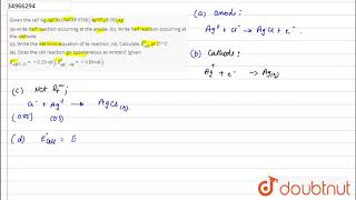 Given the cell Ag AgClsNaCl005MAgNO3030Ag a write [upl. by Ranjiv]