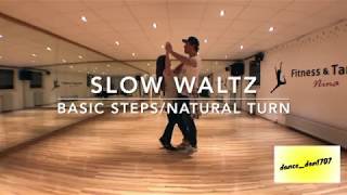 Slow Waltz Basic Steps [upl. by Igal]