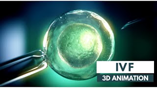 How IVF works  3D Animation [upl. by Newhall855]