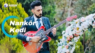 Nankör Kedi yeni gitara Elçin Dadaşov 2024 [upl. by Aneetsyrk]