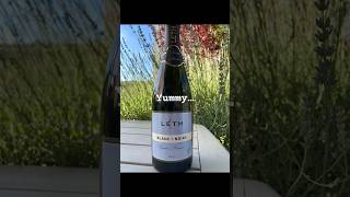 Try this elegant and fine sparkling wine  Weingut Leth Wagram Austria wine winelovers wines [upl. by Delgado]