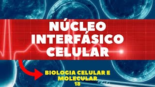 NÚCLEO INTERFÁSICO CELULAR  BIOLOGIA CELULAR E MOLECULAR [upl. by Honniball]