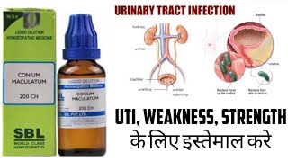 Conium Maculatum 200C Benefits Uses Side effects Review in Hindi  Review Remedy [upl. by Eenwahs]