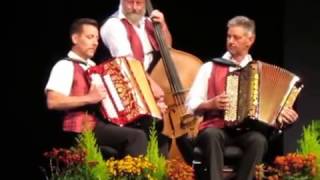 Adelboden hell Arthur Brügger Handorgelduo Echo vom Vitznauerstock [upl. by Brawley]