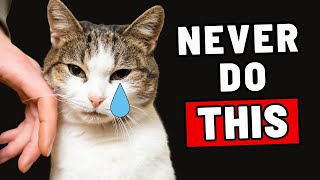 10 Things a Cat Will NEVER Forgive [upl. by Paymar]