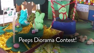 Peeps Diorama Contest [upl. by Lamar239]