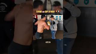 Teófimo López  Eddy Reynoso 💥🇲🇽🔥 teofimolopez caneloteam eddyreynoso boxeomexicano 156 [upl. by Samtsirhc]