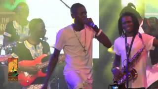 Jose Chameleone performs Shida za Dunia Live at Koroga Festival 10 [upl. by Filippo]