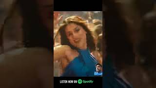 Mast Kalandar song trending Bollywood dance song music shehnaazgill vickyvidyakawohwalavideo [upl. by Ahsiym]