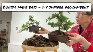 Bonsai Made Easy  DIY Juniper Procumbens [upl. by Corissa]