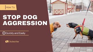 How to stop Dog Aggression quickly And easily  In a few steps [upl. by Oruhtra]