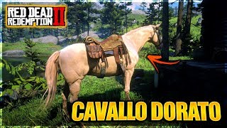 RED DEAD REDEMPTION 2 ITA  COME TROVARE IL RARISSIMO CAVALLO DORATO RDR 2 ITA RARE HORSES [upl. by Slinkman]