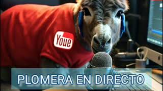 NNIND  PIDIENDO PERMISO Y JUSTIFICANDO NanaIndiaVlogs ADN40MX [upl. by Fernande]