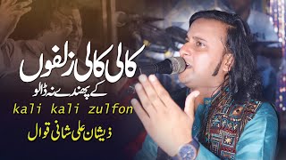 Kali Kali Zulfon  Hamein Zinda Rehne Do Aye Husn Walo  Zeeshan Ali Shani Qawwal [upl. by Attenol820]