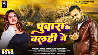 Audio Song  पुवारा के बलही मे  Ankur Akela Chandravanshi  Puwara ke Balahi Me  Lok Geet 2024 [upl. by Acinok450]