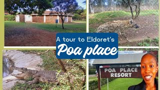 Where to hangout in Eldoret ELDORET CITY PARK Poa Place Resort [upl. by Shirl662]