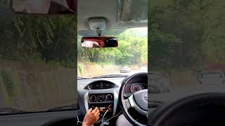 pain treeshere ooty shortvideos malayalam subscribe shorts [upl. by Eedak655]