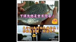 釣魚實況活到老釣到老老翁的釣魚精神天冷總是有意外的驚喜溪釣篇溪釣旱溪大里溪 [upl. by Nwahsyar]