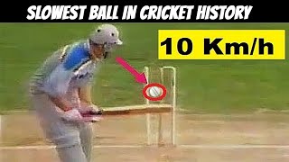 10 Incredible Slow Ball Wickets in Cricket History [upl. by Urd]