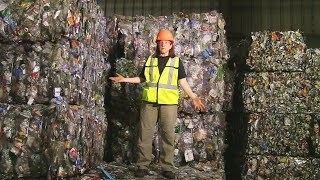 How Recycling Works Behind the Scenes at the MRF [upl. by Noizneb553]