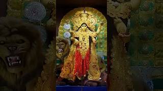 41 pally clubar Jagadhattri pujo youtubevideo trending youtubeshort youtube sanatandharm [upl. by Shewchuk]