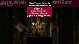 திருப்பதி பெருமாள் தரிசனம்  Tirupati perumal tirupati tirumala [upl. by Anade]