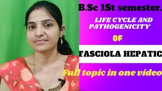 Life cycle And Pathogenicity Of of Fasciola hepatica Bsc 1st yearLiver Fluke 1stsemester gnb [upl. by Elbon143]