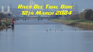 River Dee Tidal Bore 12th March 2024 [upl. by Groveman950]