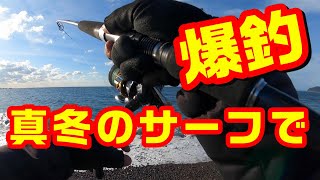 真冬のサーフで爆釣しました！ ショアジギング 和歌山 青物 ルアー ぶっこみ釣り サビキ釣り [upl. by Eissert]