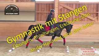 S11 Stangenarbeit an der Hand und unter dem Sattel Abstände Linien Übungen Gymnastik für Pferde [upl. by Amelina]