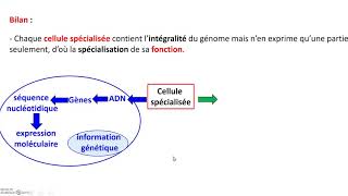 Ch 2 ADN Bilan [upl. by Cher]