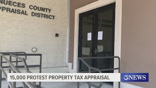 Nueces County Tax Assessors receive over 15000 protests [upl. by Esma]