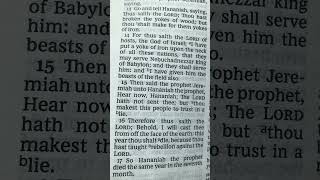 HANANIAH THE LORD HATH NOT SENT THEE 📖 JEREMIAH IN THE HOLY WORD 📜 [upl. by Rebna]