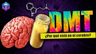 DMT 🧠 ¿El neurotransmisor de la conciencia [upl. by Wurtz]